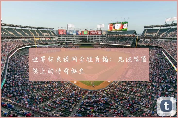 世界杯央视网全程直播:见证绿茵场上的传奇诞生