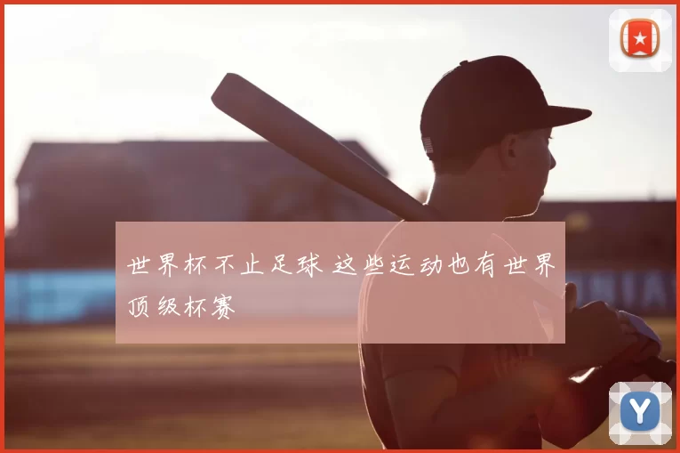 世界杯不止足球 这些运动也有世界顶级杯赛