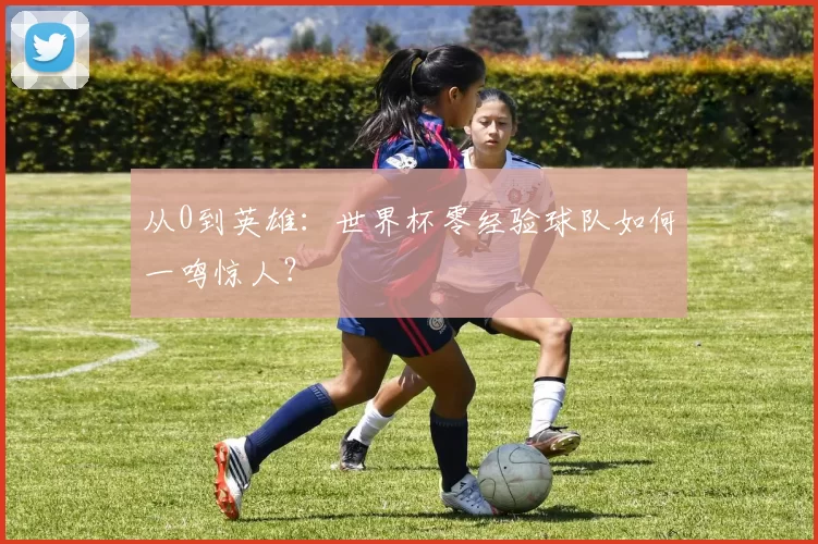 从0到英雄:世界杯零经验球队如何一鸣惊人?