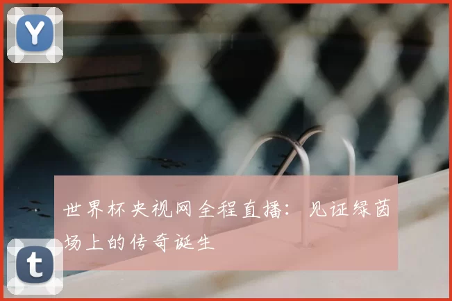 世界杯央视网全程直播:见证绿茵场上的传奇诞生