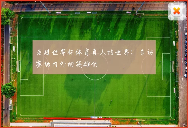 走进世界杯体育真人的世界:专访赛场内外的英雄们
