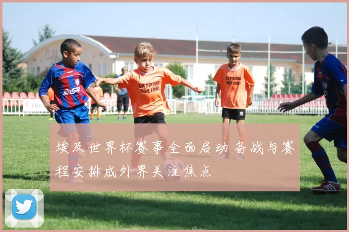 埃及世界杯赛事全面启动 备战与赛程安排成外界关注焦点