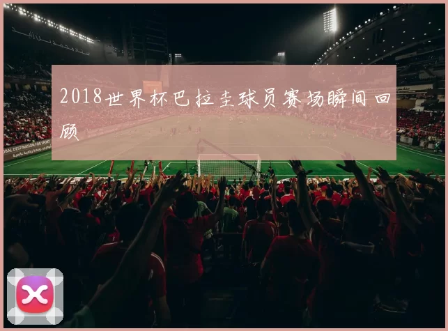 2018世界杯巴拉圭球员赛场瞬间回顾