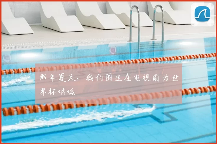 那年夏天，我们围坐在电视前为世界杯呐喊
