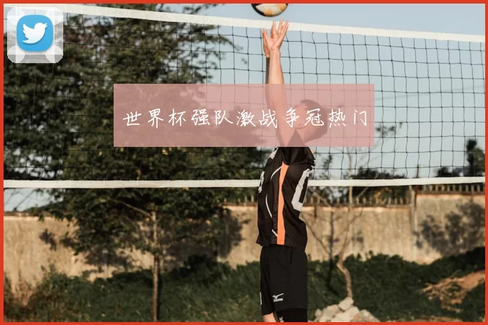 世界杯强队激战争冠热门