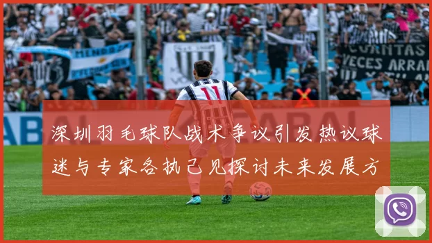 深圳羽毛球队战术争议引发热议球迷与专家各执己见探讨未来发展方向