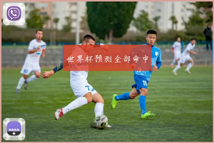 世界杯预测全部命中