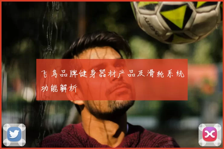 飞鸟品牌健身器材产品及滑轮系统功能解析