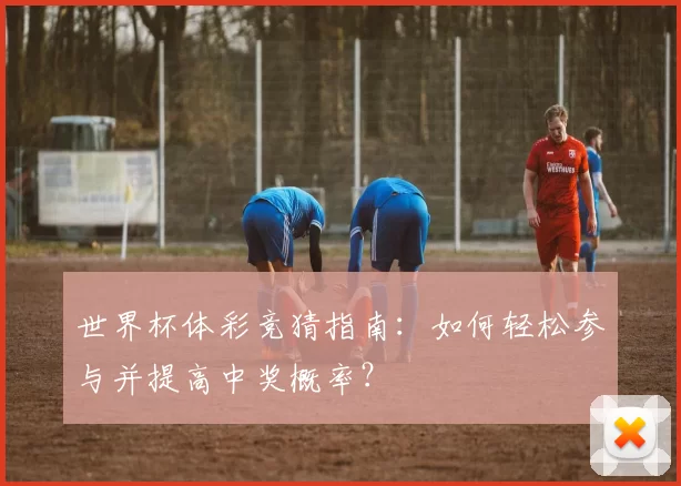 世界杯体彩竞猜指南：如何轻松参与并提高中奖概率？