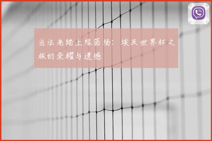 当法老踏上绿茵场:埃及世界杯之旅的荣耀与遗憾
