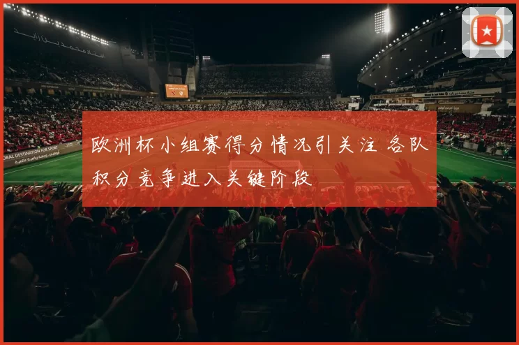 欧洲杯小组赛得分情况引关注 各队积分竞争进入关键阶段