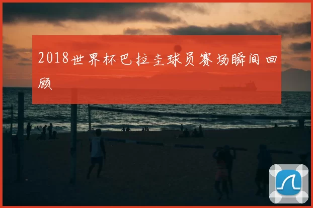2018世界杯巴拉圭球员赛场瞬间回顾