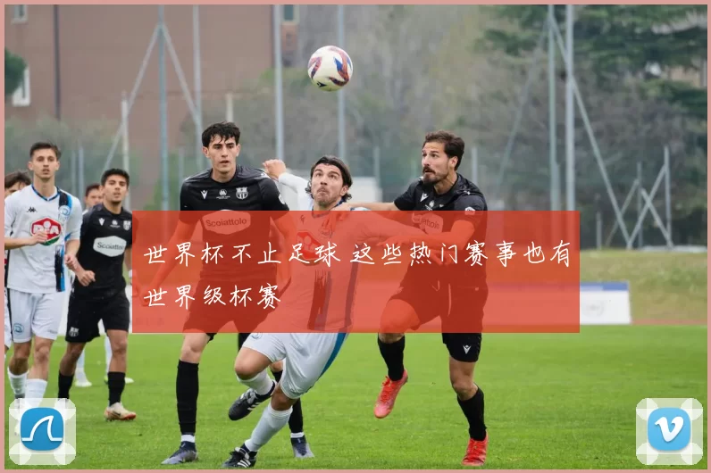 世界杯不止足球 这些热门赛事也有世界级杯赛