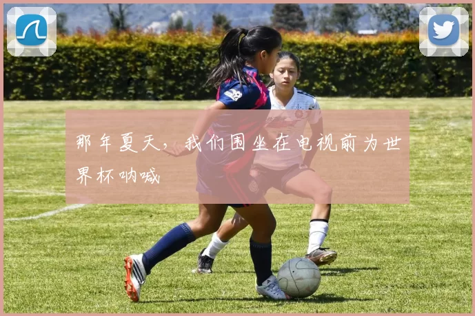 那年夏天,我们围坐在电视前为世界杯呐喊