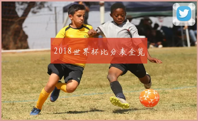 2018世界杯比分表全览