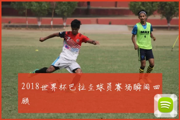 2018世界杯巴拉圭球员赛场瞬间回顾