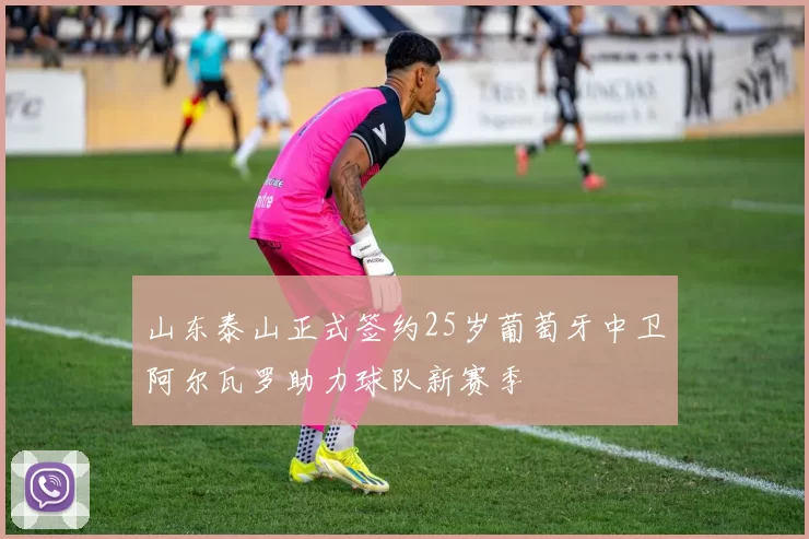 山东泰山正式签约25岁葡萄牙中卫阿尔瓦罗助力球队新赛季