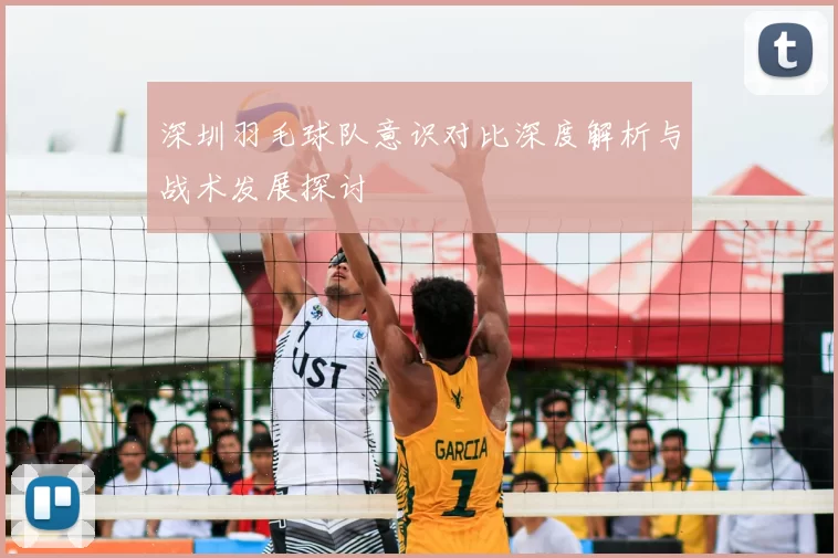 深圳羽毛球队意识对比深度解析与战术发展探讨